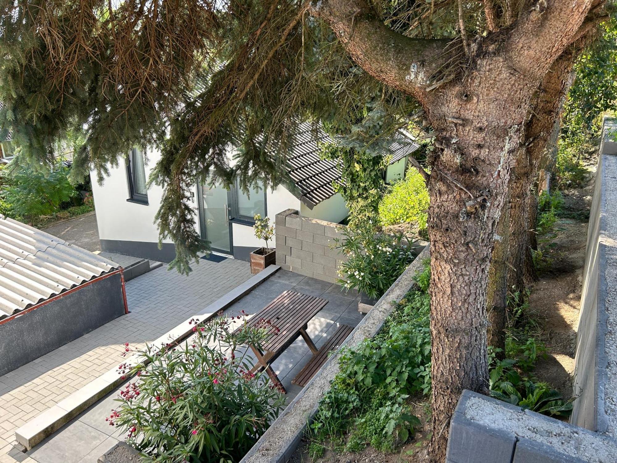 קובלנץ Koblenzer Naturhaus & Apartments מראה חיצוני תמונה