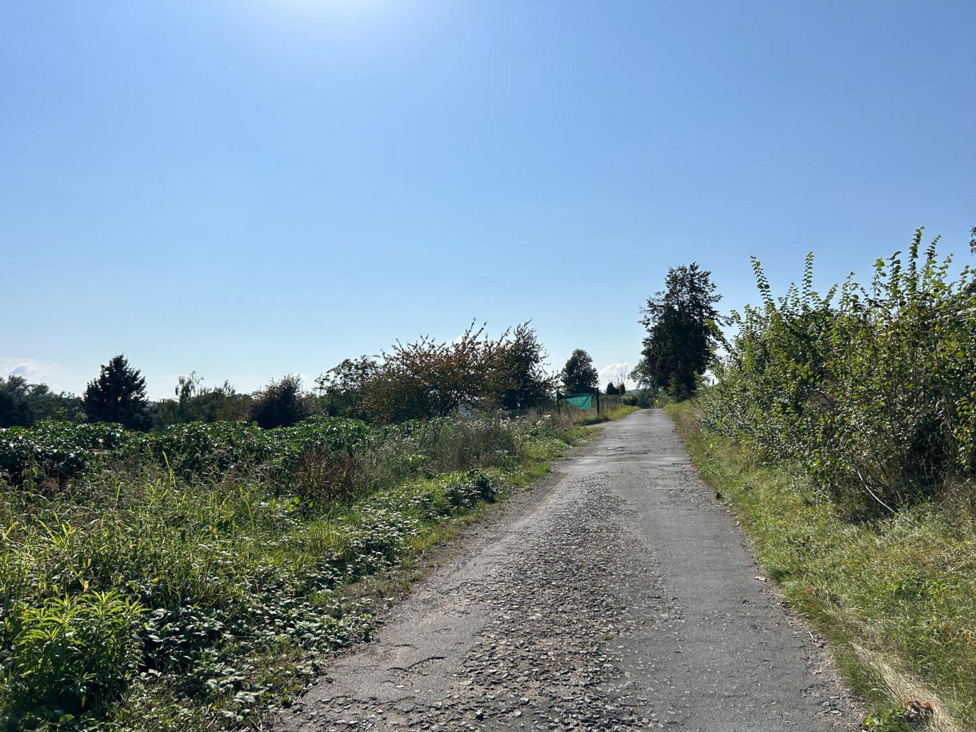 קובלנץ Koblenzer Naturhaus & Apartments מראה חיצוני תמונה